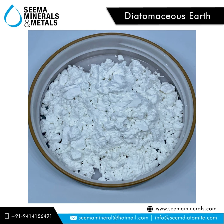 Лидер продаж, 100% натуральный белый цвет, порошок диатомит для воспламеняющегося очищенного белого по конкурентоспособной рыночной цене
