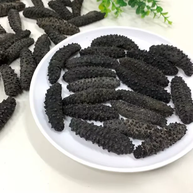 In Stock Dried Sea Cucumber Seafood Bulk Ready for Export Buy Now Wholesale Supplier Cheap Price