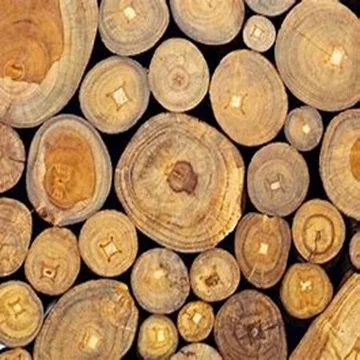 Trusted   Supplier of Timber Logs TEAK Pine Eucalyptus Oak Birch Hardwood Beech for Sale