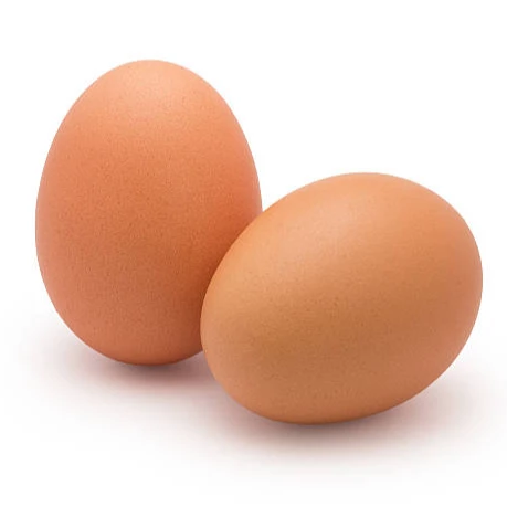 FRESH CHICKEN EGGS WITH COMPETITIVE PRICES