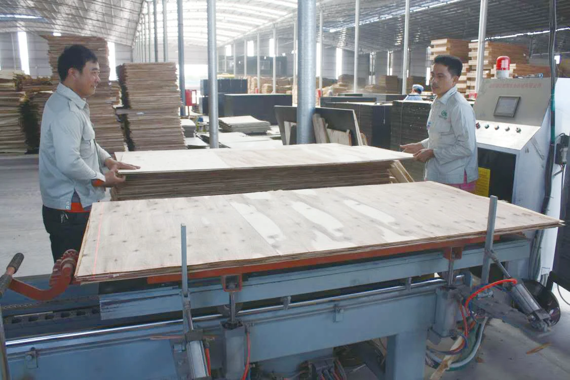 Certified Factory sales high-quality rubber wood finger joint board rubber wood core veneer rubber wood
