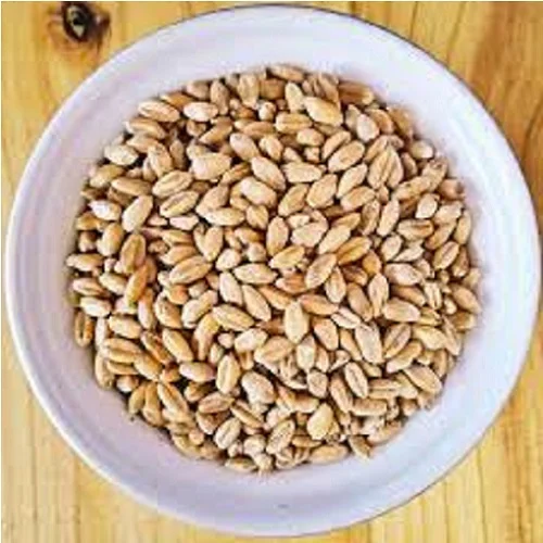 Best Market Price Wholesale Wheat Grain / Top Quality Whole Wheat Grain from Europe fast Delivery