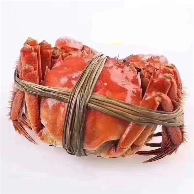 Лучшие свежие/замороженные/живые красные королевские крабы бездумные синие