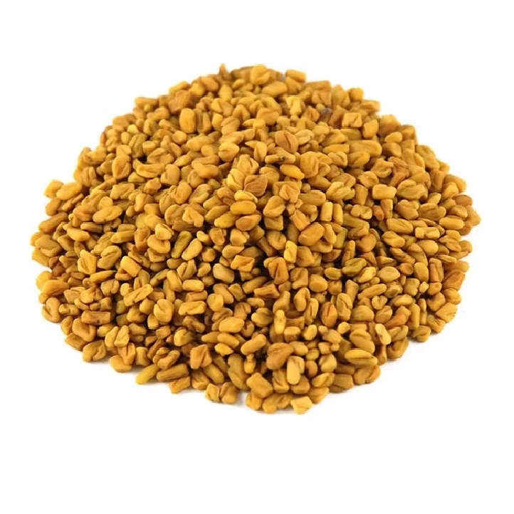 100% Natural & Organic Fenugreek Seed Premium Quality Indian Fenugreek Seeds ( Fenugreek Sortex ) Export From India
