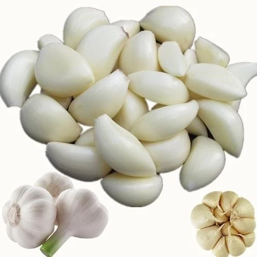 Fresh White Peeled Garlic and Garlic Extracts