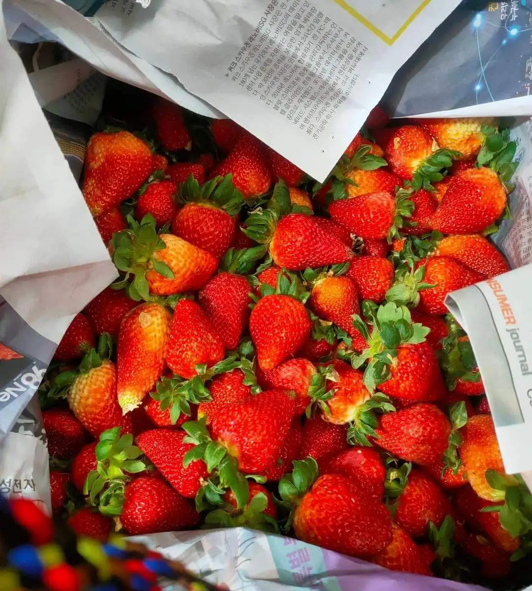 Food Grade Fresh Fruit Product Strawberry with Reasonable Price in VietNam