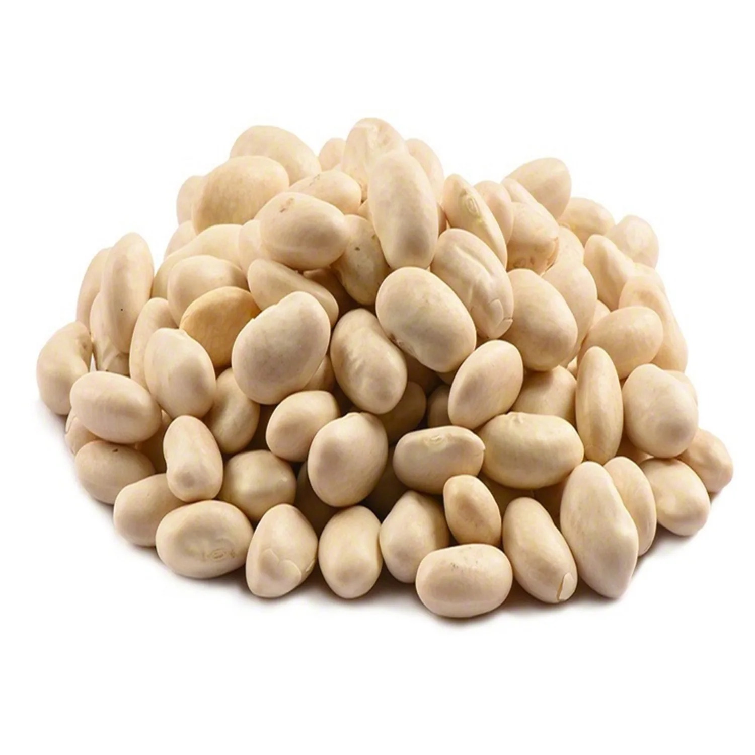 All Season Eatable Big Sized Black Eye Beans As Kidney in Fresh Quality New Price