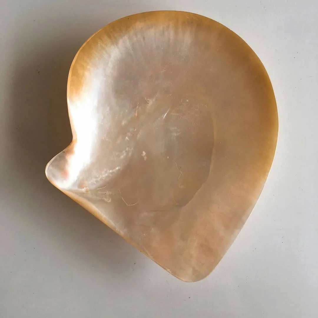 Wholesale OEM Customized Premium Quality Traditional Style Mother of Pearl Caviar Spoons From Vietnam