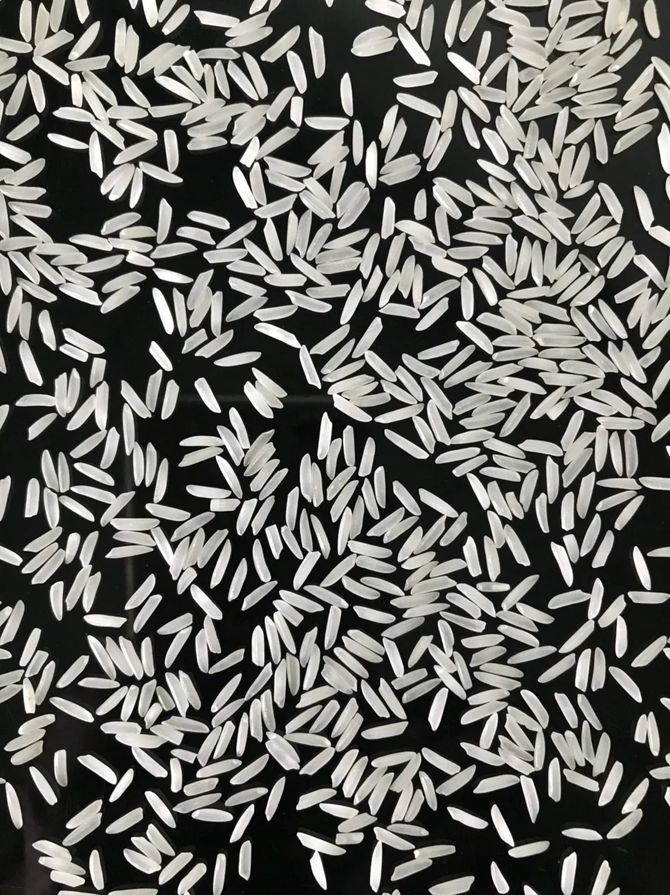 ST25 RICE длиннозерный белый рис доступный эксклюзивным брендом Vilaconic или вашим частным многие индивидуальные агенты по всему