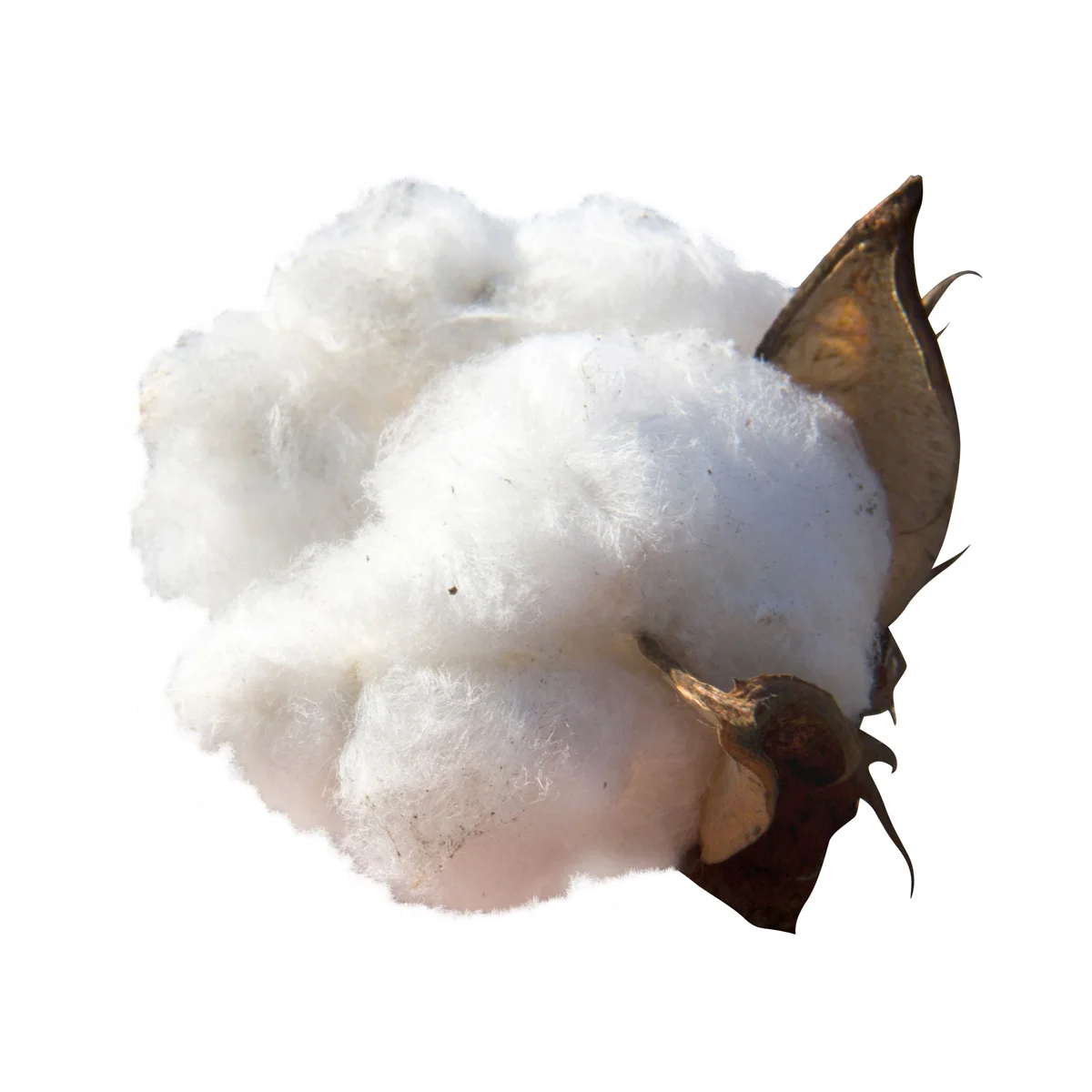 Good prices sheet cotton linter pulp in bulk product of Uzbekistan cotton cellulose