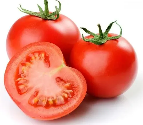 TOMATO10.jpg