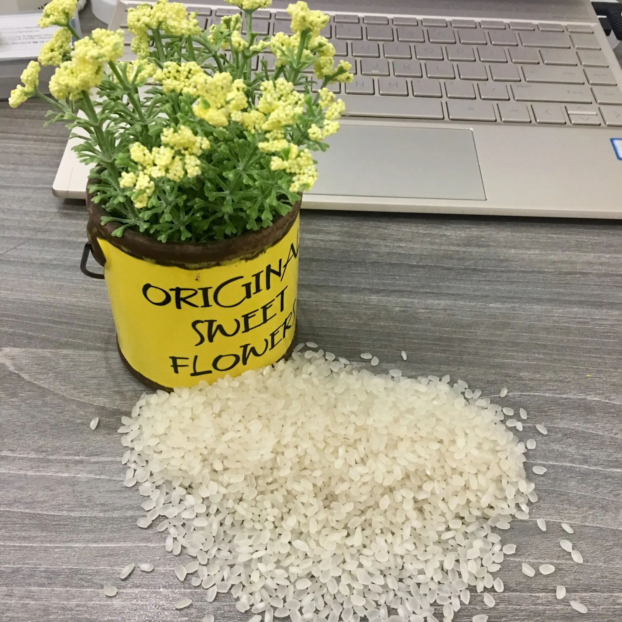 Vietnamese Rice Well mill and double polish F&B 5% Broken White Common Soft Texture AD Dried Style Calrose Round Grain Rice