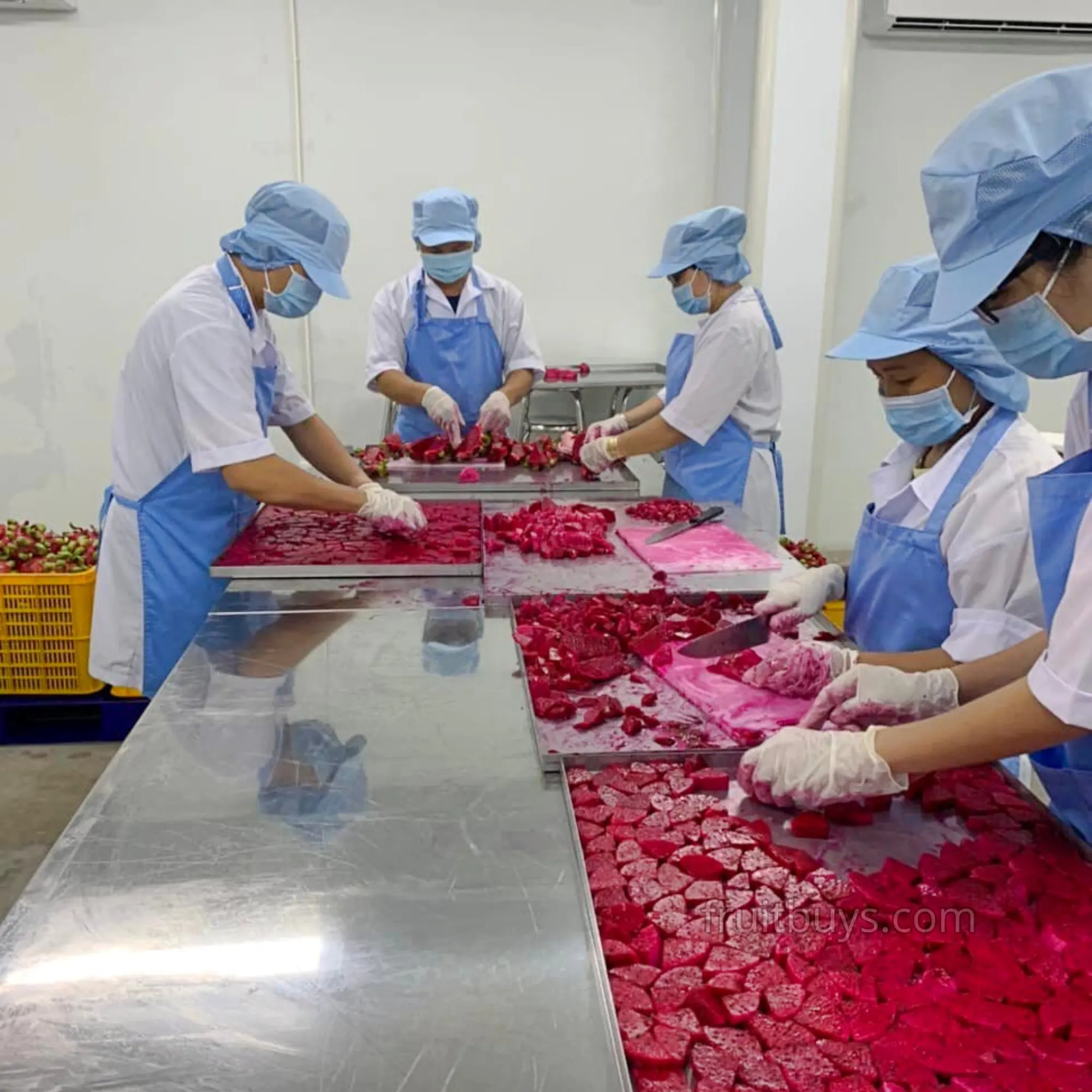 Dry Fruit & Vegetable Snacks Bulk Freeze Dried Fruit Dragon Fruit Wholesale Price NO Need MOQ Healthy Food Snack