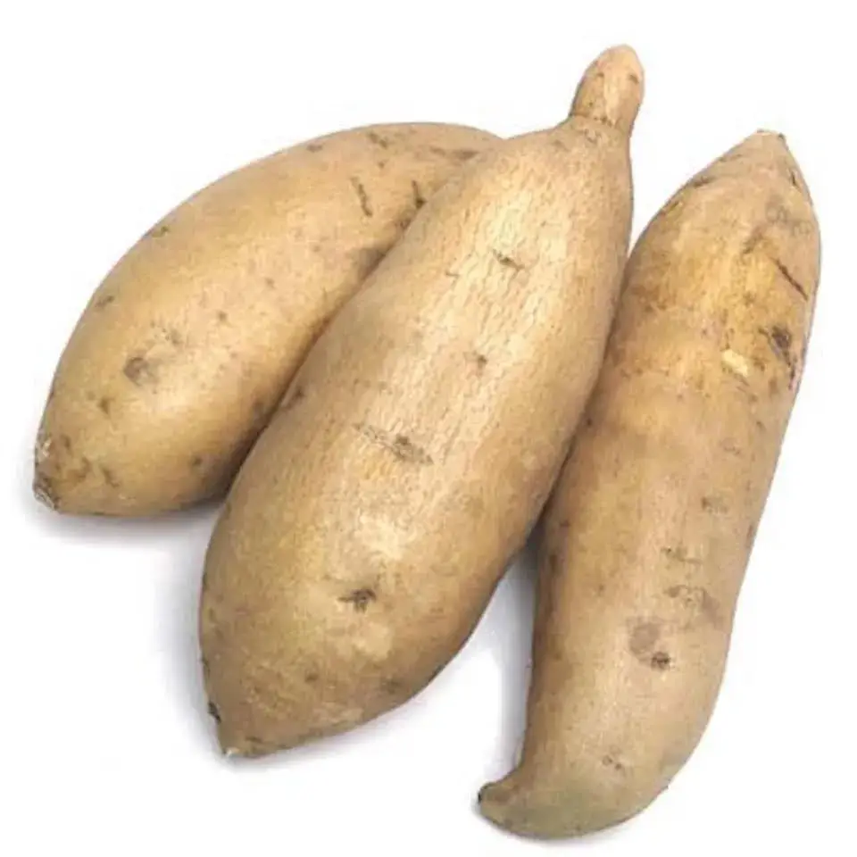 Purple Yam /  Delicious And Healthy Fresh Yams