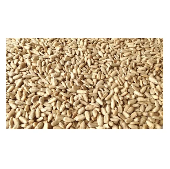 Hight quality organic sunflower seeds original flavor roasted kernels for edible