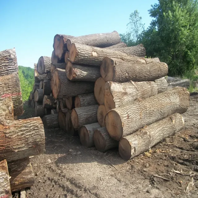 Квадратные и круглые бревна из черного ореха, Кленовая, луановая, айувская древесина, грецкий орех, причудливая фанера, цены на бревна