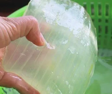Дистрибьютор Желе Алоэ Вера во Вьетнаме/горячие продукты 2022/мисс