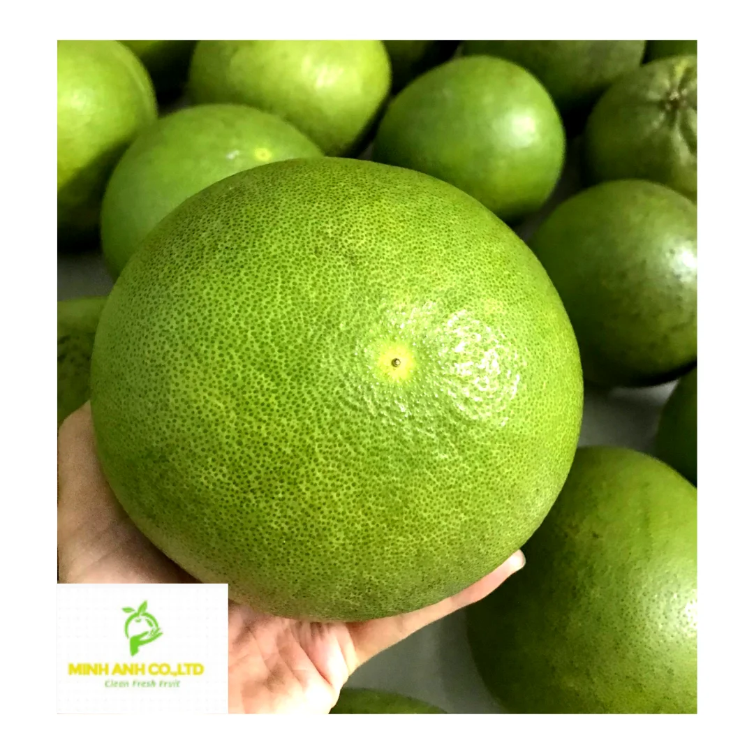 Fresh Green Grapes Turkey Key Sweet Crop Style Storage Cool Packing Mature Newest Color Origin Super Type Comfort Variety Size