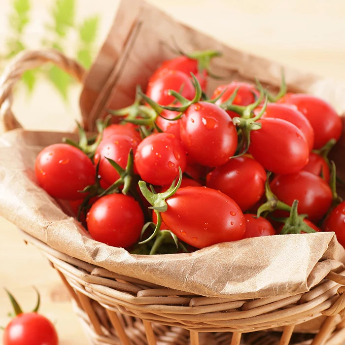 Fresh Beef Tomato, Cherry Tomato, Fresh Plum Tomatoes for Sale Hot selling Fresh Quality Tomato for Export Market