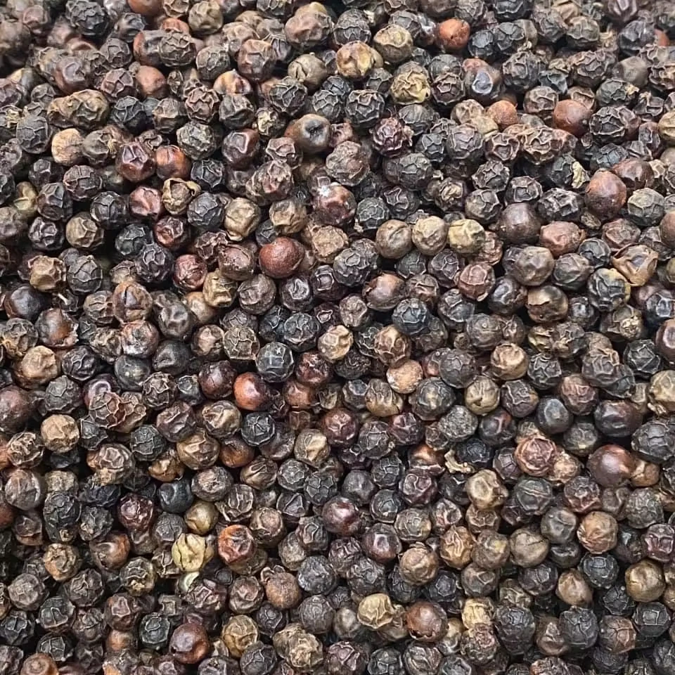 Vietnam Black Pepper Agriculture Products from the Land of Spices