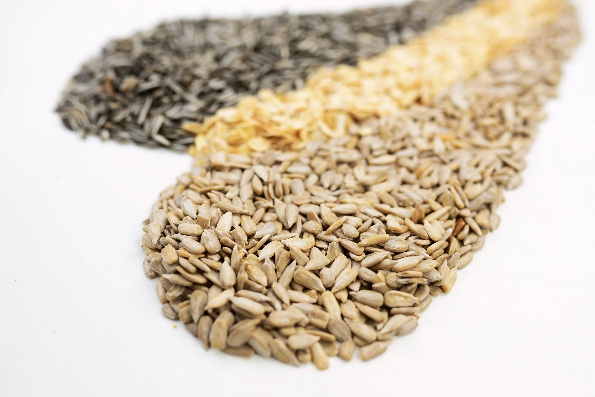 Suppliers Sunflower Seeds Raw Sunflower Karnells in Shell Sale China Bag OEM Shell Box Style Packaging FOOD Natural Taste