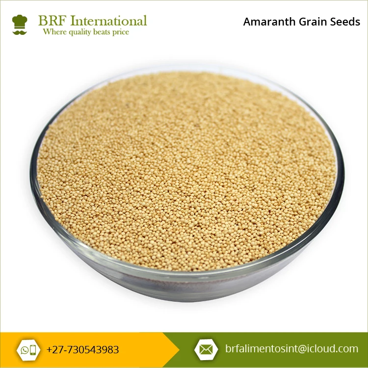 Высшее качество Лидер продаж сельскохозяйственные продукты без глютена Зерна амаранта для оптовой покупки