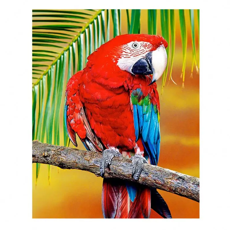 Best Selling 5D Diamond Crystal Painting Diy The Animal Series Red Parrot With Tilted Head Decorative Wall Art