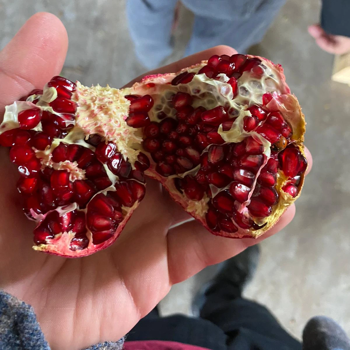 Sweet Fresh Red Pomegranade Best Quality In Turkey Dark Red Colour %100 Organic Fresh Turkish Number 1 Quality  Juicy