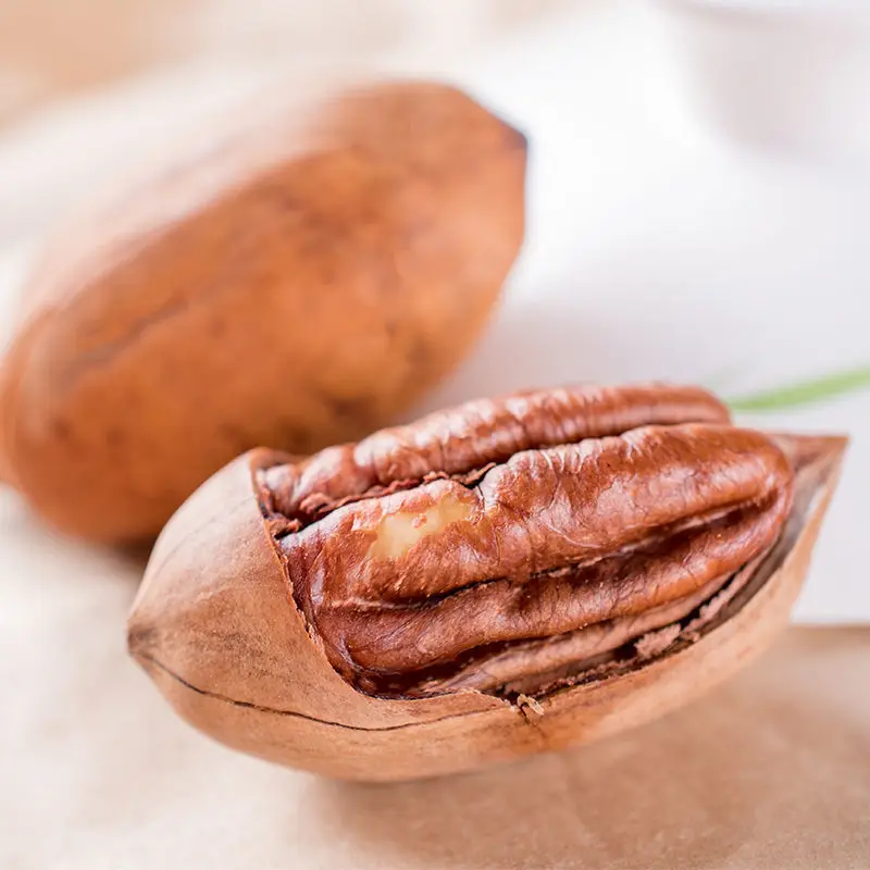 Agricultural Farm Price Pecan Nuts South Africa Raw Pecan Nut Roasted Pecan Nuts Price