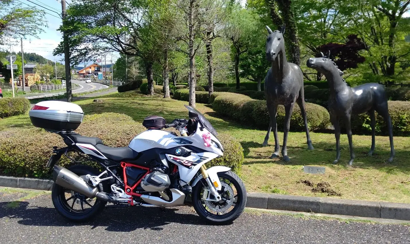 Best Selling Second Hand /Used B.M.W F 900 R motorcycles-B.M.W Low Price Used Motorcycle Bike Sport bike for sale used bike
