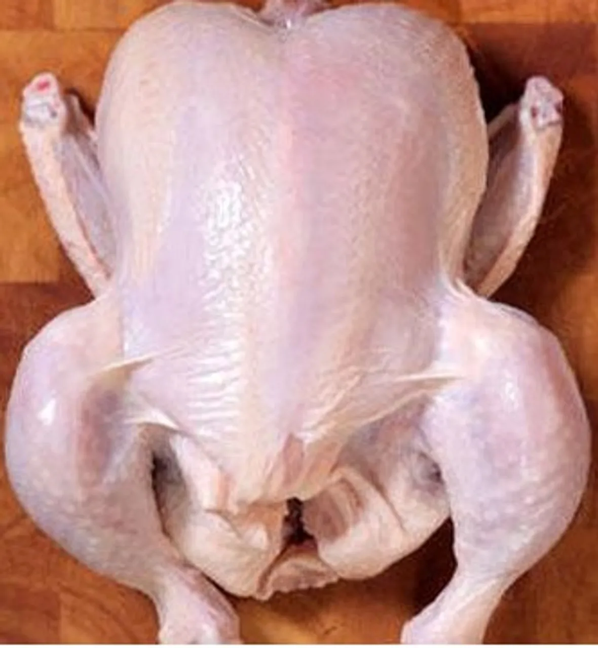 Halal whole chicken, Brazil frozen whole chicken suppliers, frozen whole chicken for export USA