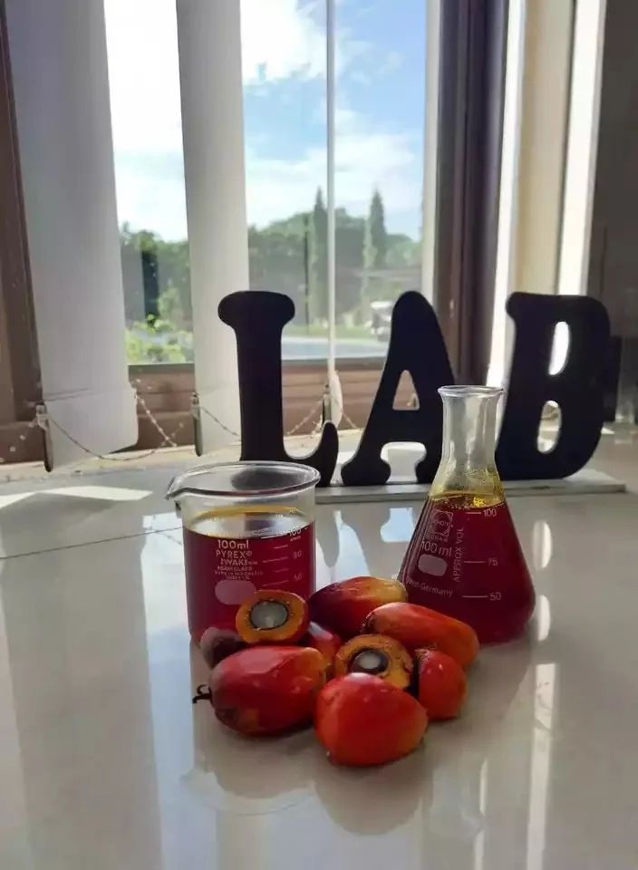 Refined Palm Oil for sale /100% Purity Crude Palm Oil (CPO) For Cooking