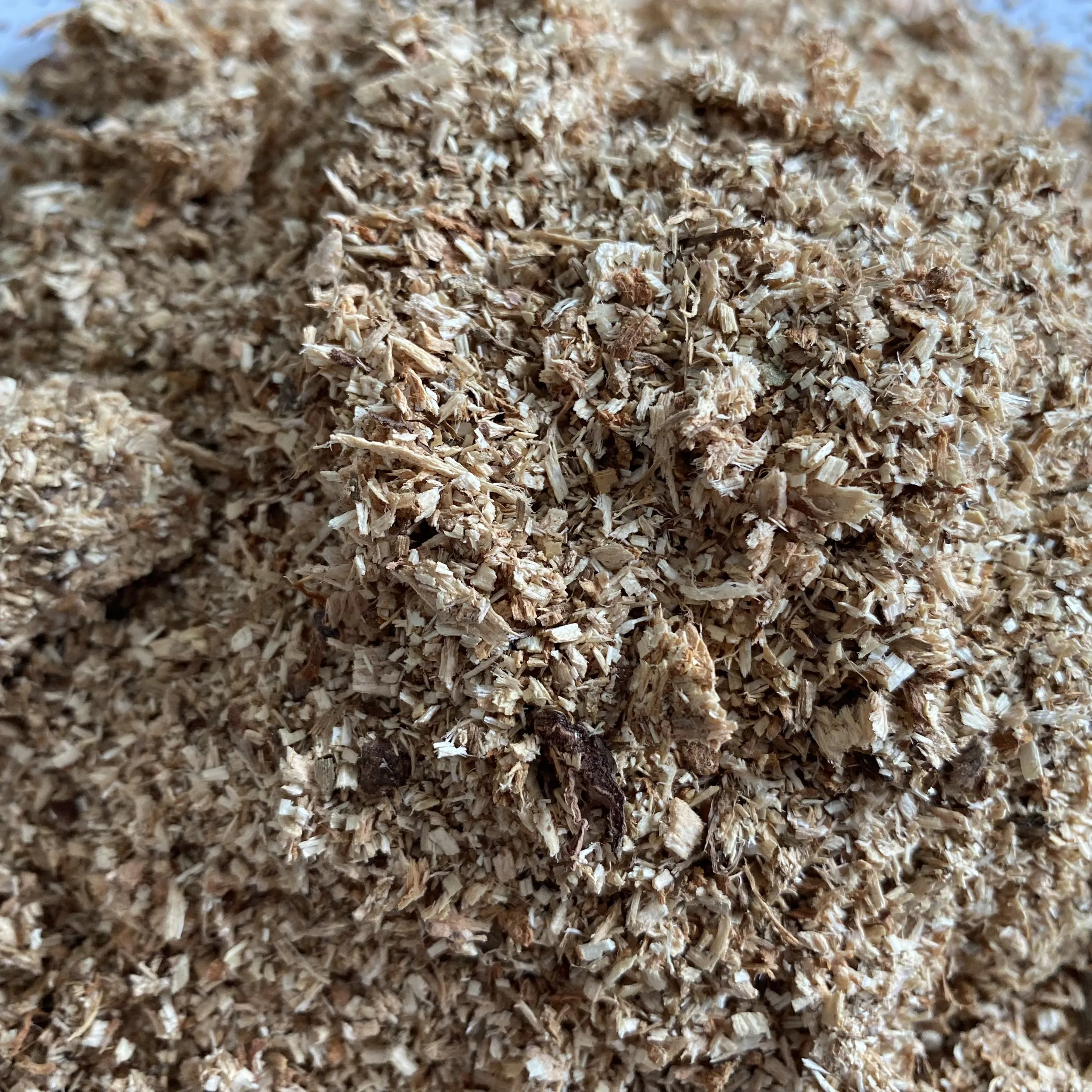 Cheap Wood Sawdust - Wood chips & Wood Shaving for Horses