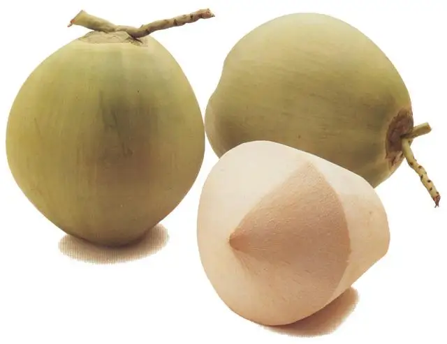Top Rank Fresh Coconut Premium Quality from Thailand Young Coconut 20 Green Sweet Young Coconut