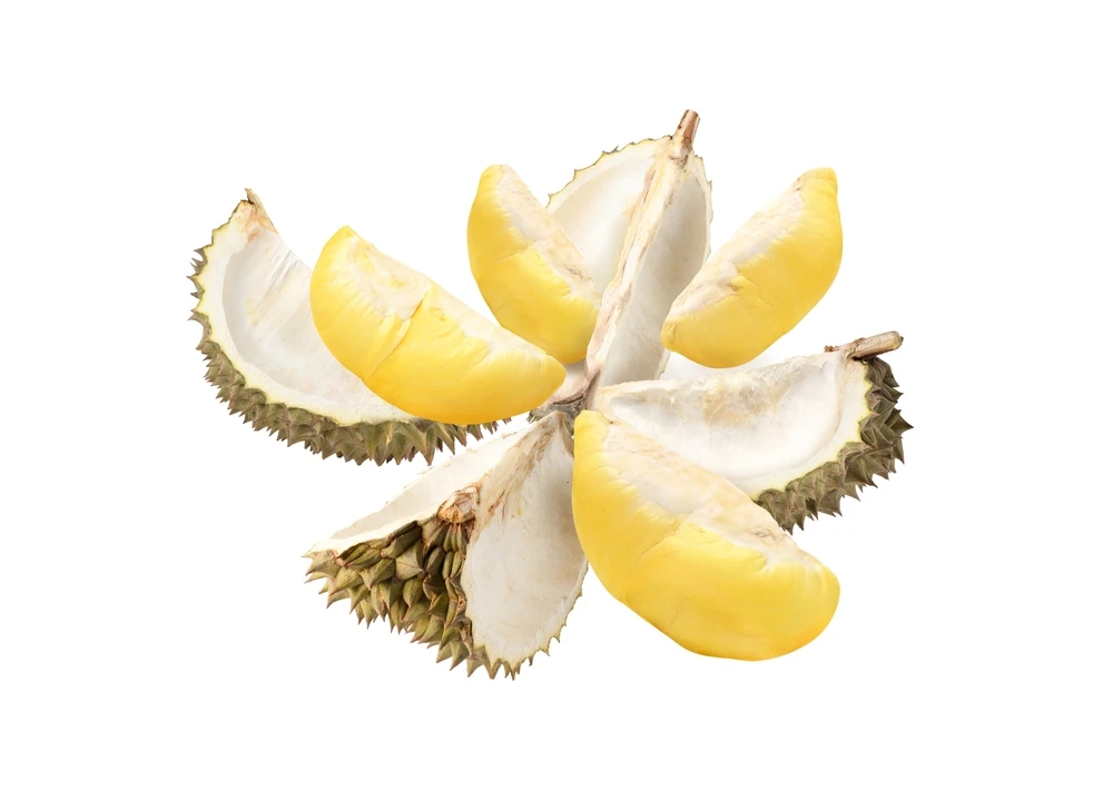 100% High Quality Fresh Delicious Vietnam Durian and Feeeze Durian