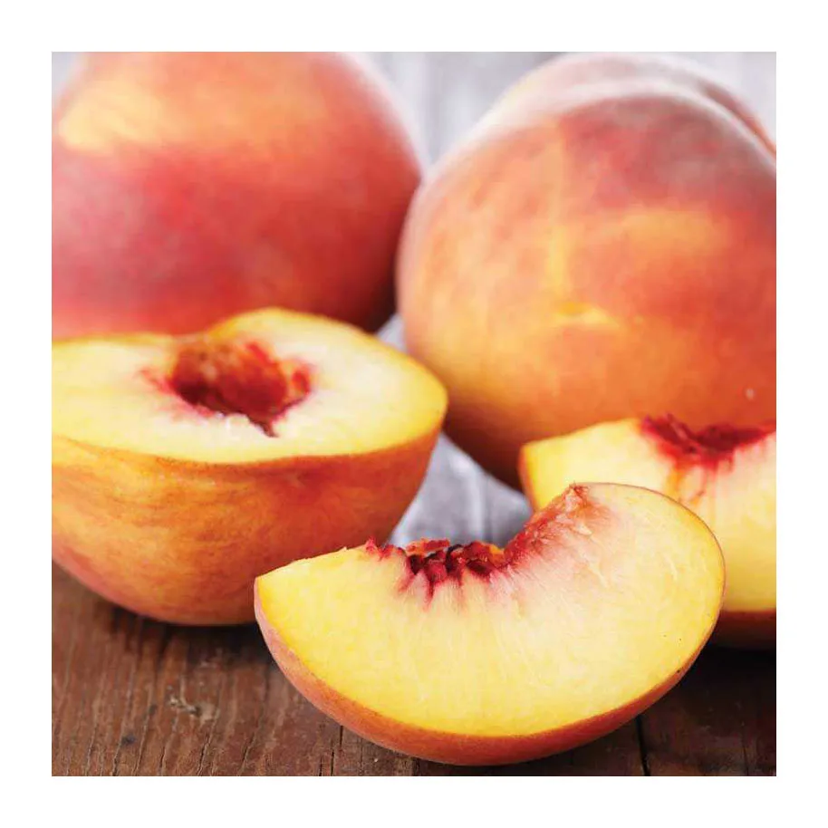 Selling Peaches Top Quality fresh fruit for Export Factory Sell Sweet Juicy Stone Fruit 100% Maturity Class A Natural Fresh