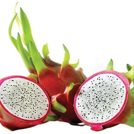 Hot sale dragon fruit Vegetable Dragon Fruit in Vietnam Delicious Vietnamese Dragon Fruit