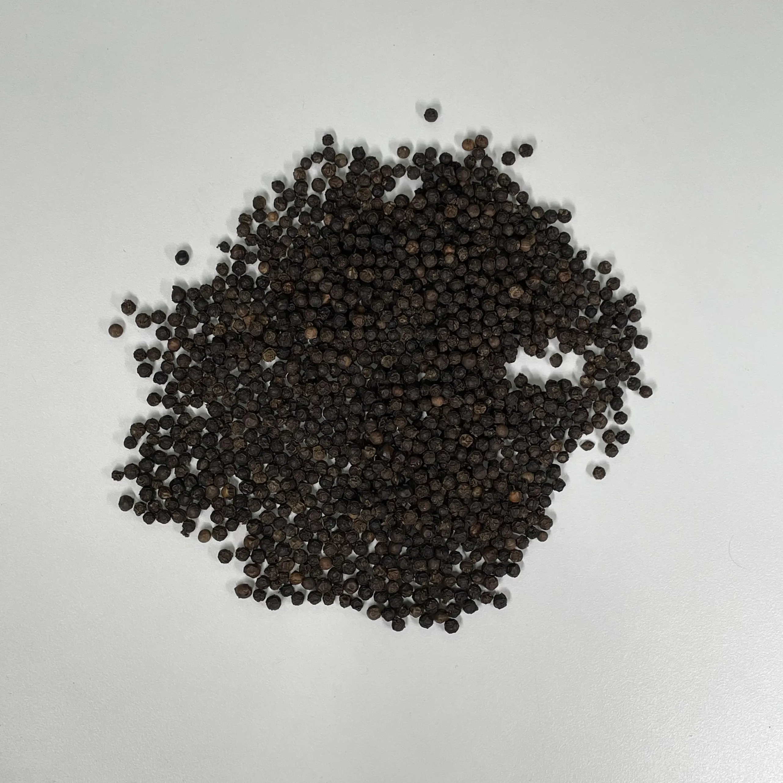 Grinder Salt and Pepper Set Black Rate 550GL MC Vietnam Spices Ceylon Souce 550 Gl