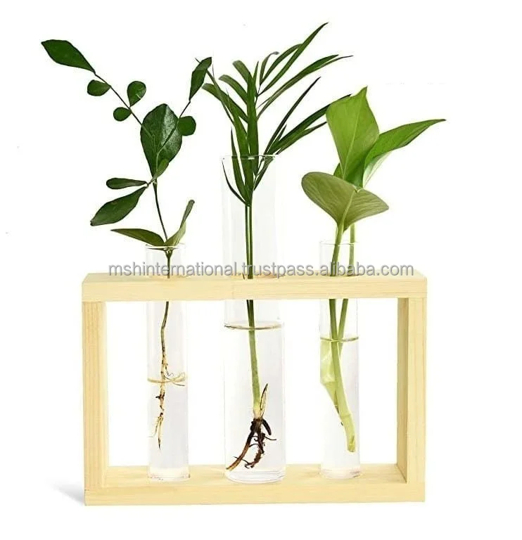Creative Hydroponic Plants Office Desktop Ball Vase Wood Stand Ornaments Hanging Glass Vase