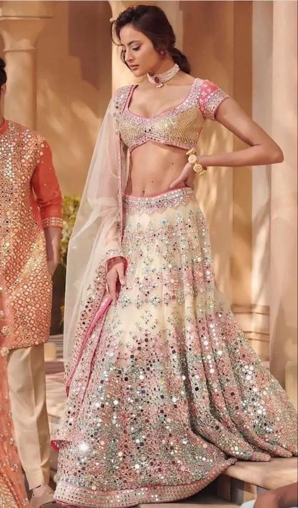 Fashionable Adults Soft Net Real Mirror Lehenga Cancan Canvas Patta Work Choli Indian & Pakistani Clothing Sequins Embroidery
