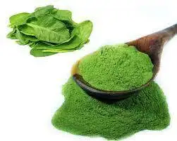 High Purity 100% Organic Pure wholesale Spinach Herbal Extract Whole Spinach Powder 100 g. dietary supplements