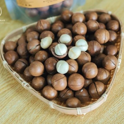 Вьетнам новый сезон орехи макадамии в скорлупе оптовые поставки для экспорта по лучшей