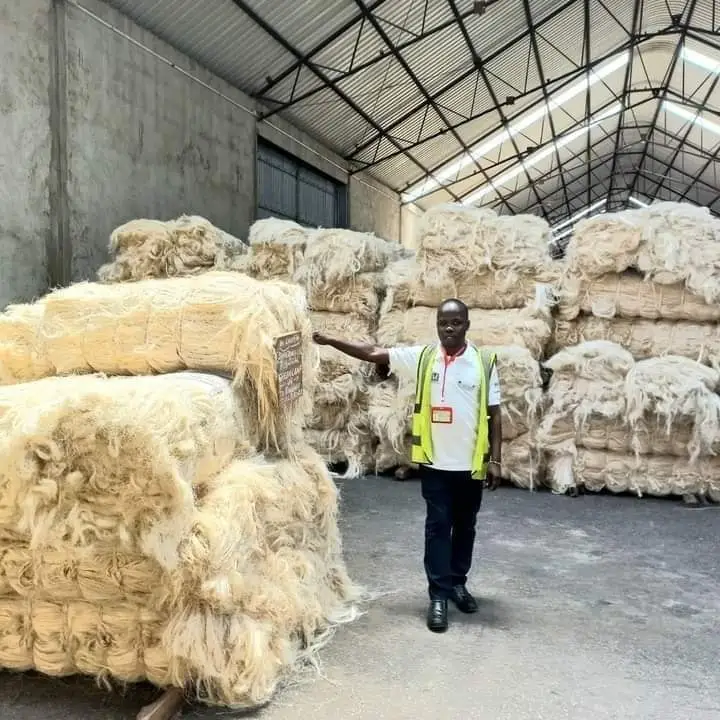 100% Top Quality Sisal / Purity 100% Natural sisal fiber / sisal fiber Best Prices in Kenya