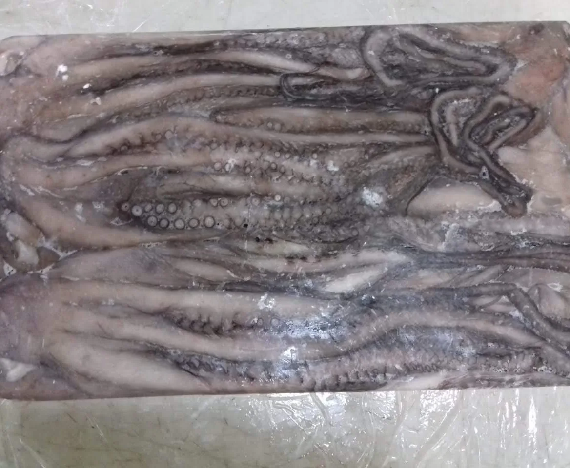 Замороженный длинный осьминог, цельный круглый, хорошего качества, индонезийского происхождения