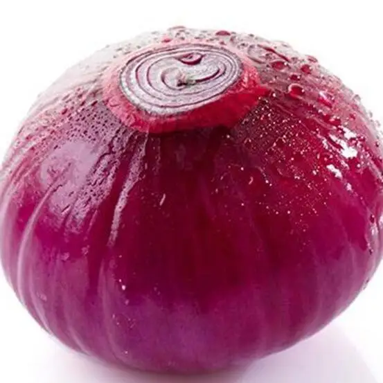 Красный лук для продажи лучшие экспортеры красного лука маленький очищенный быстрая доставка