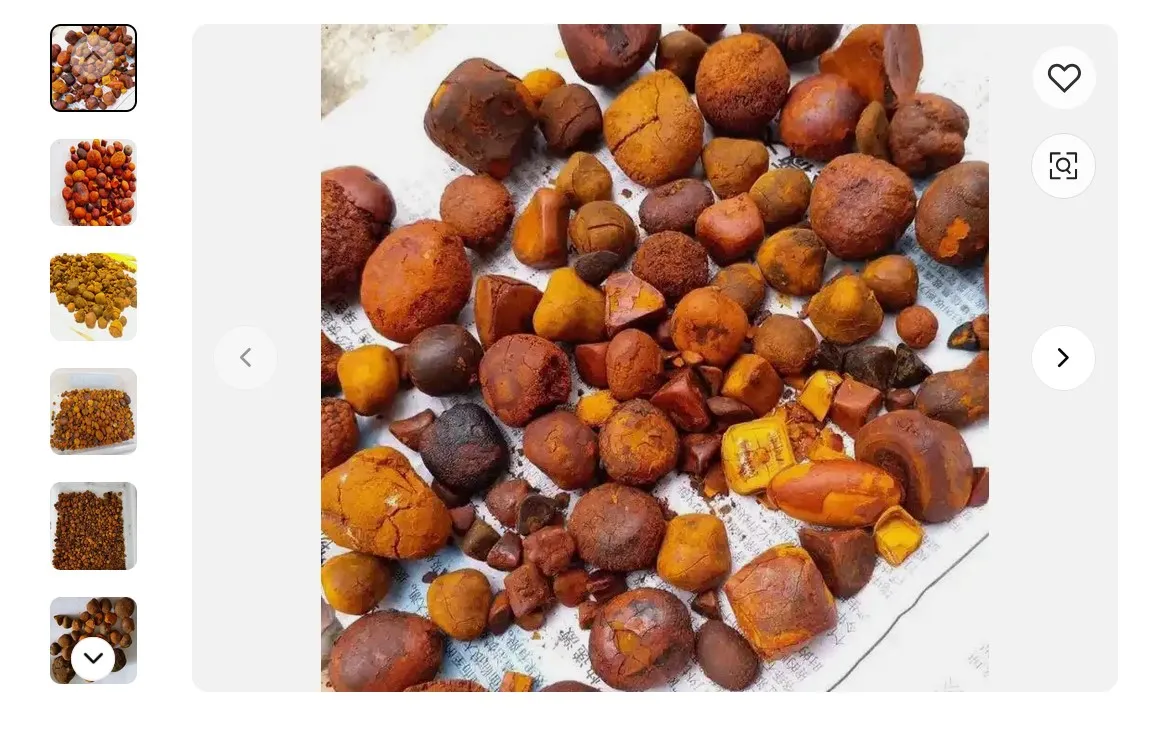 Quality Ox Gallstones Cattle Gallstones Cow Gallstones Buy Cow Gall Stones for sale good price