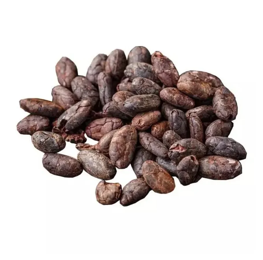 Good quality Dried Grade A Cocoa/ Cacao/ Chocolate Bean 100% Manturity Made In Romania