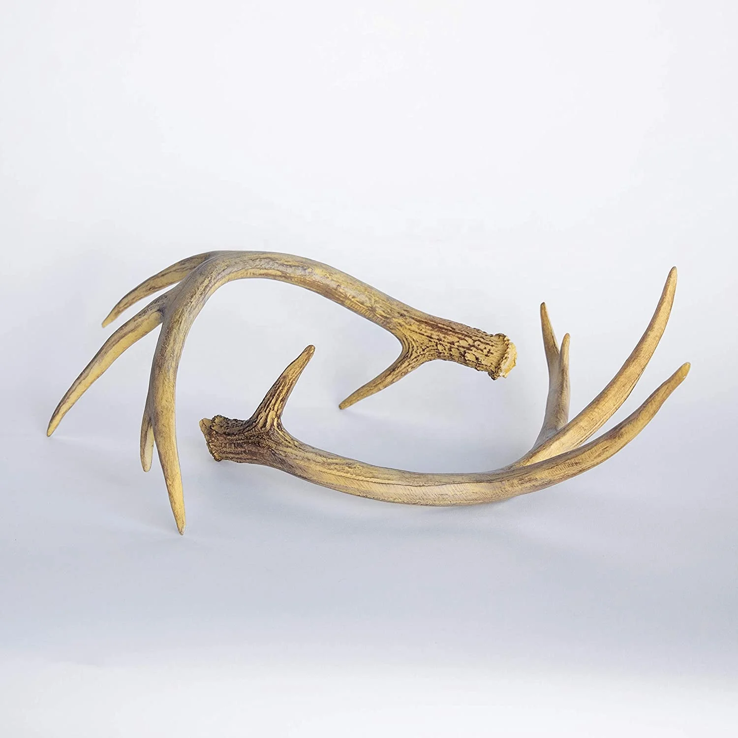 Cheap price Red Deer Antlers, Red Deer Antlers Horns, Naturally Shed Whole Red Deer Antlers/  bulk deer antlers / deer antlers