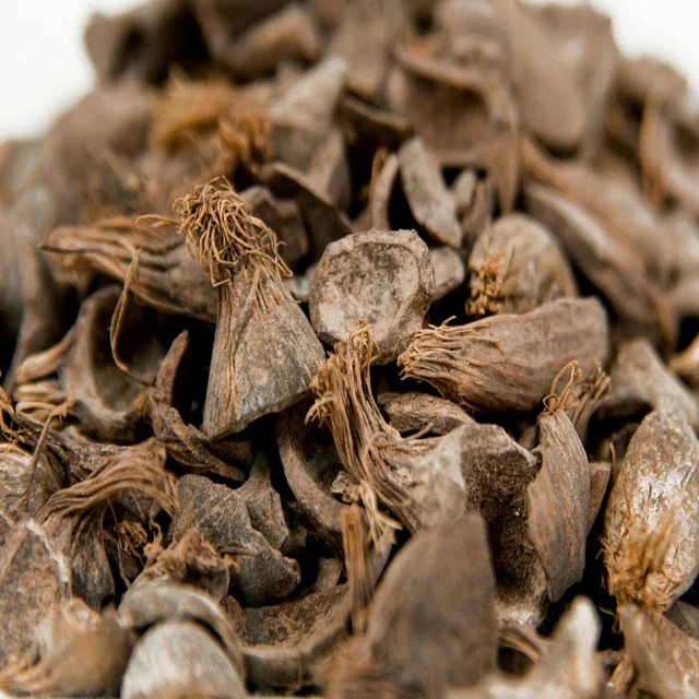 Cheap and Quality Palm Kernel Shell from Agricultural Waste with good price