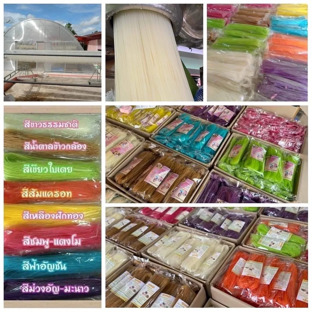 Duangjan Thai Dried Herbal Rice Noodles With 10 colors Made From Rice Flour And Thai Herbs